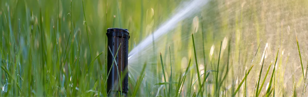 irrigation automatique